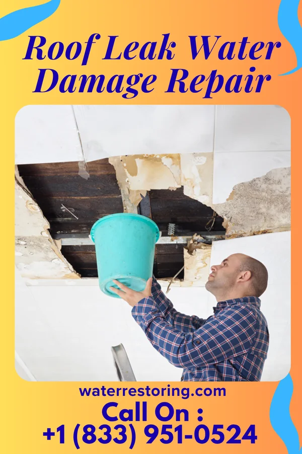 Roof Leak Water Damage Repair in Lakemoor, IL