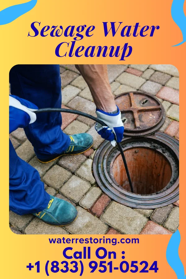 Sewage Water Cleanup in Lakemoor, IL