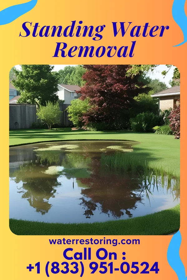 Standing Water Removal in Lakemoor, IL
